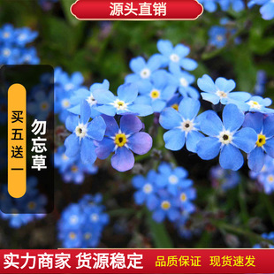 �����ݷN��200�����A��ɽ�����ҷN�ѿ��л�ͥԺ�҃������Դ��ﲥ