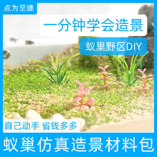 Λρ���t�Sʯ���Λρ�Ǳ���Ӆ^��B�䳲�쾰��ʯ�^�[���b�