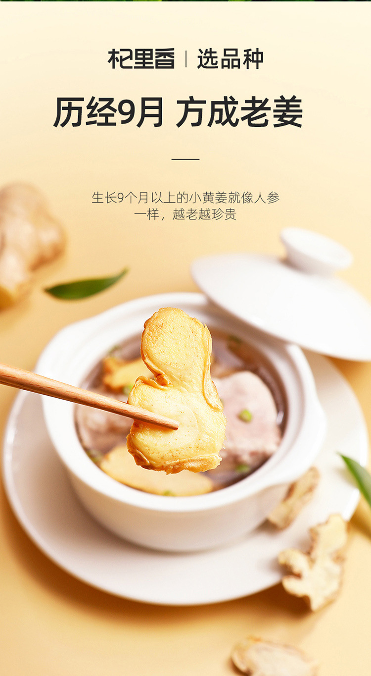 Dried Ginger Slices 150g Jar Yunnan Yellow Ginger for Tea Soup and Braising key features
