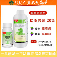 ��������20%��֬���~�������~�����Խǰ߲�˪ù���rș������1000g