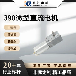 蜗杆减速电机定制 24V 大扭矩减速电机智能家居传动方案微型马达