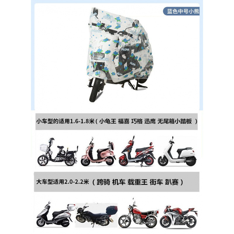 [투명 프린팅 모델] 블루베어 - 종합보호/두껍고 단단함