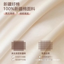 100s�߶��ļ���ȫ�޼���2024�¿��p�ݸ߼��б��״��δ��Ҵ�����Ʒ