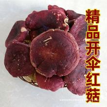 红菇干货特产野生红蘑菇菌菇包红菇红椎菌非福建云南广西