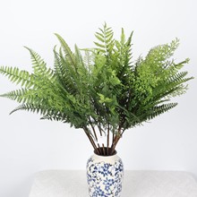 仿真绿植波斯蕨蕨类植物蕨叶微景观造景植物地插植物墙美陈装饰草