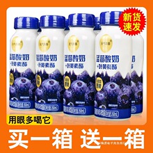 酸奶蓝莓叶黄素酯早餐奶268ml瓶装0蔗糖花青素护视力营养乳味饮品