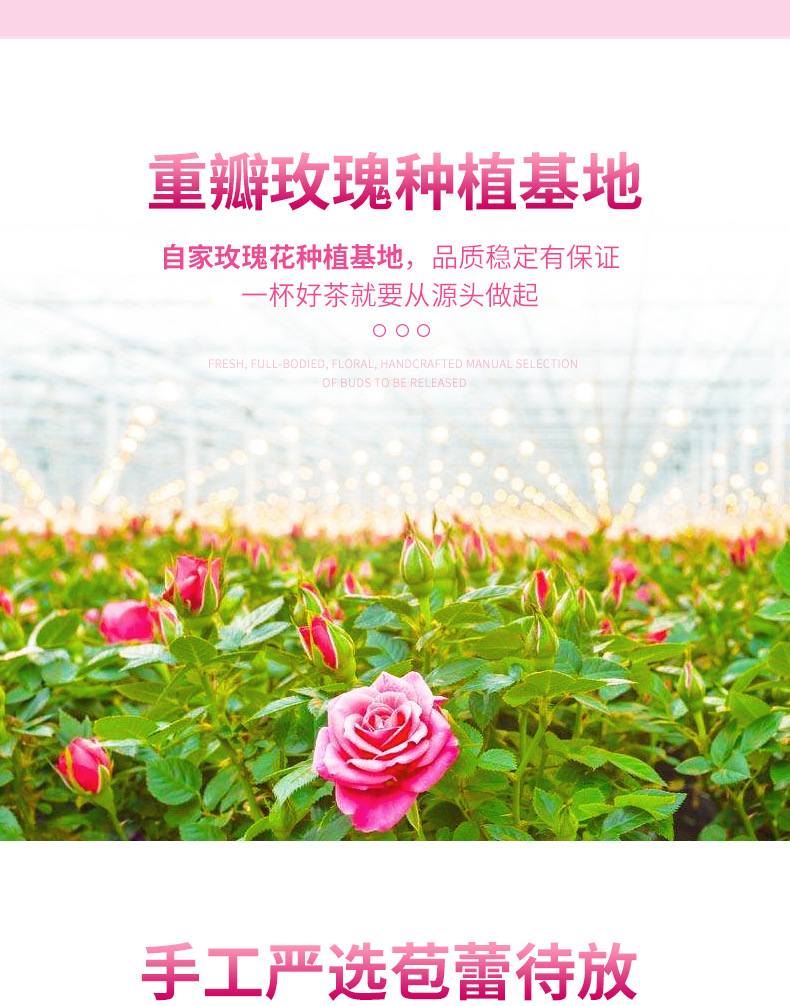 Pingyin Rose Bud Tea 500g Whole Red Rose Buds Mei Gui Hua Herbal Infusion for Daily Brewing key features
