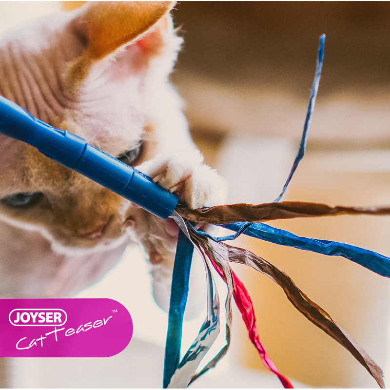 (2개) JOYSER 애완 동물 고양이 재미있는 스틱 개수 공 깃털 재미있는 고양이 장난감 교체 가능한 깃털 반지 재미있는 고양이