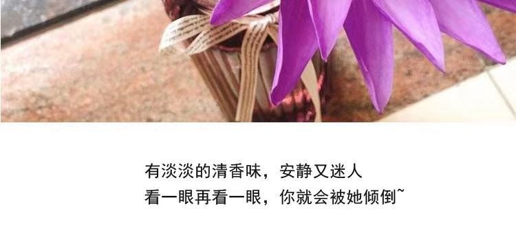 d6dbdadb-7853-429e-9251-c7fd935b3d00.jpe