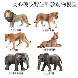 新凯纳仿真野生动物模型实心认知狮子套装摆件手办玩具跨境动物