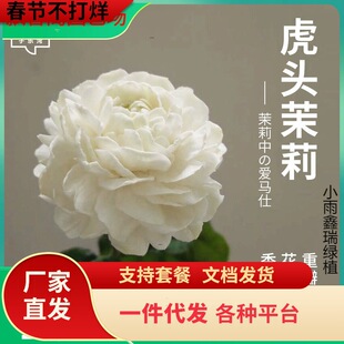 һ�����l���^���������Ԏ����҃��ذ��Ϙ��������d���ļ��_��