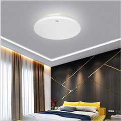 FSL Foshan Lighting led ceiling light modern minimalist balcony corridor aisle light living room bedroom ceiling light
