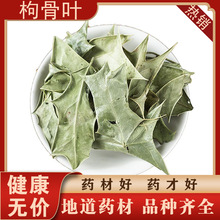 ���l��ș�Ĺ����~ʮ�󹦄��~�۹��~؈���̰˽Ǵ��䱳���ӹ�������