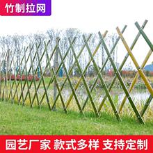 ����������پW�񻨼����WͥԺ������@�bh������Ƭ��s���o��