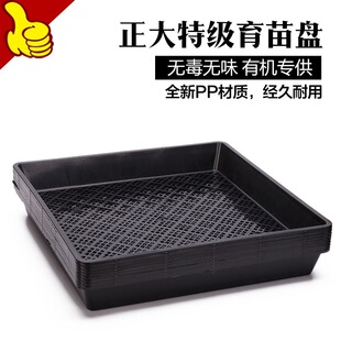 ѿ��P����P�P�бP����ʯ��С�ڱP�P������ѿ���������L��ѿ���