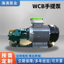 厂家供应便携式齿轮泵柴油机油润滑油倒桶电动自吸泵WCB手提泵