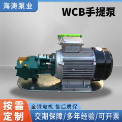 メーカーは携帯用ギアポンプ、ディーゼルオイル、潤滑油、バケツ用電動自吸ポンプ、WCBハンドポンプを供給しています。