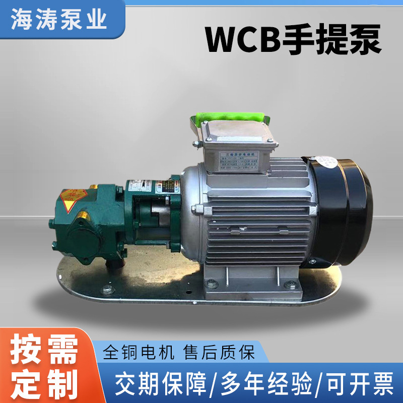 厂家供应便携式齿轮泵柴油机油润滑油倒桶电动自吸泵WCB手提泵