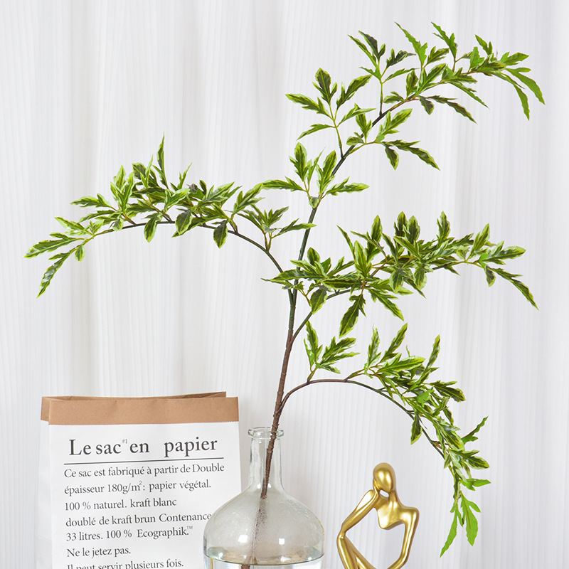 仿真植物 仿真福祿桐葉仿真植物牆配材仿真綠植背景