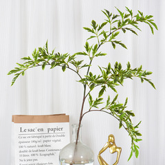 仿真植物 仿真福祿桐葉仿真植物牆配材仿真綠植背景