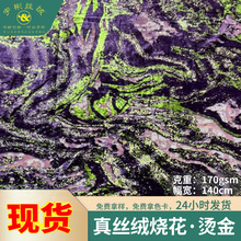 艺术复古真丝绒烂花烫金高档国风山水灵动汉服礼服连衣裙丝绒面料