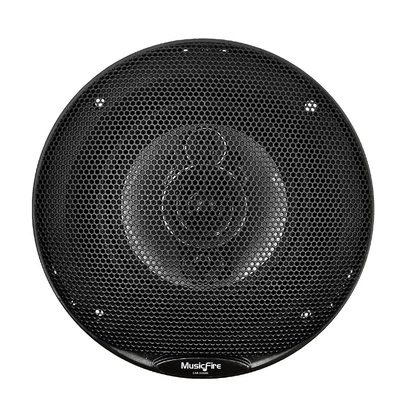 Speaker, Qìchē Car horn/tweeter
