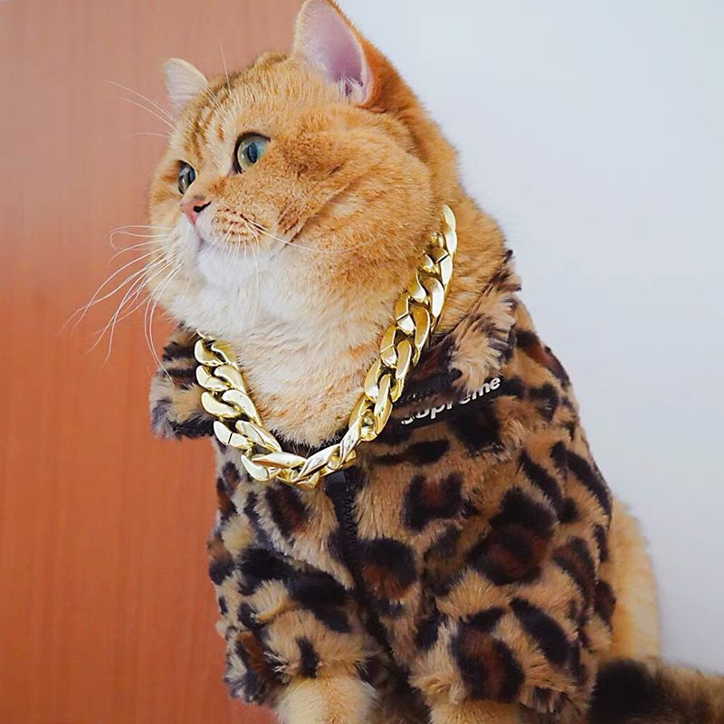 강아지 옷, 애완동물 새끼 고양이 옷, 가을 겨울 테디 비숑 찻잔 강아지 옷, 귀여운 소형 강아지 옷