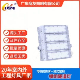 其他室内灯具;投光灯;景观灯