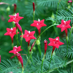 �S�����l���~�\�}���N��ͥԺ����ֲ������ǻ��_������