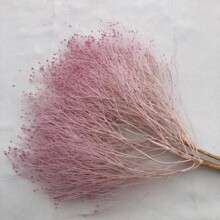 ��z���ò�������ins��ϸɻ���Y���� �����[��DIY ���Ĵ������l