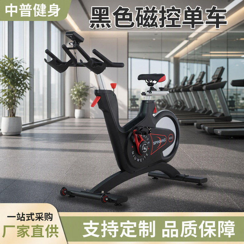 Gym Commercial Dynamic Magnetically Controlled Bicycle Indoor Sports Bicycle Cross-Border Foreign Trade Magnetic Bicycle