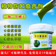 ���������ڴ��ֲ���a����ľ�τ�������T�޽Ә�Ƥ�������ωTĤ��