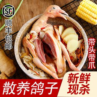 ���r�F�����������������l�������Ҝ����������������r������l