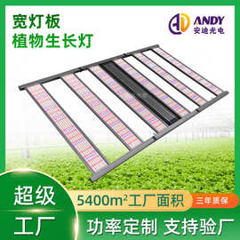 宽板植物灯LED grow light全光谱种植灯1500W调光植物生长灯工厂