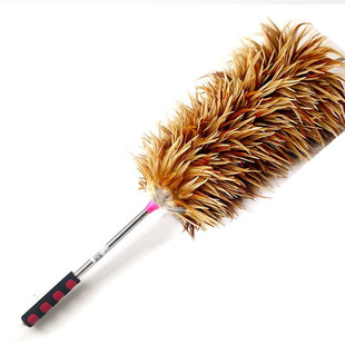 Washable Feather Duster, Lint-Free Clearance Treatment, Retractable Fruit Tree Pollination Dust Duster, Feather Dust Sweeper