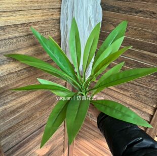 ����Gֲ����ľ�����҃ȿ͏d�b[���G�~ֲ�ﱳ�����廨����~