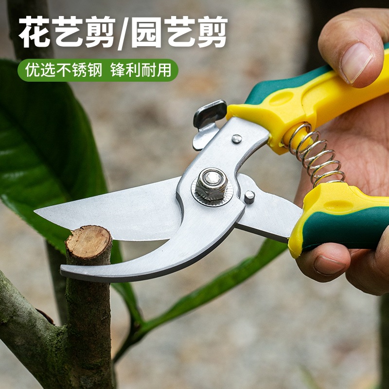 批发不锈钢柑桔葡萄修果剪刀果枝剪经济注塑松紧家用摘果剪修花园