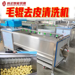 定制毛辊清洗机 红薯土豆毛刷去皮机 猪耳朵猪蹄中药材莲藕大姜清