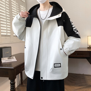 2026�����¿�r�Ў��⳱���ٴ��������ͬ�Bñײɫ�A�������к�ɫ