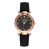 Fashionable starry sky, matte belt, quartz watches, swiss watch, Birthday gift, wholesale