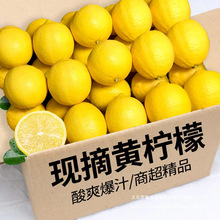 �V�|�S�������rˮ��Ƥ������������ˮ���ʷǰ����S����