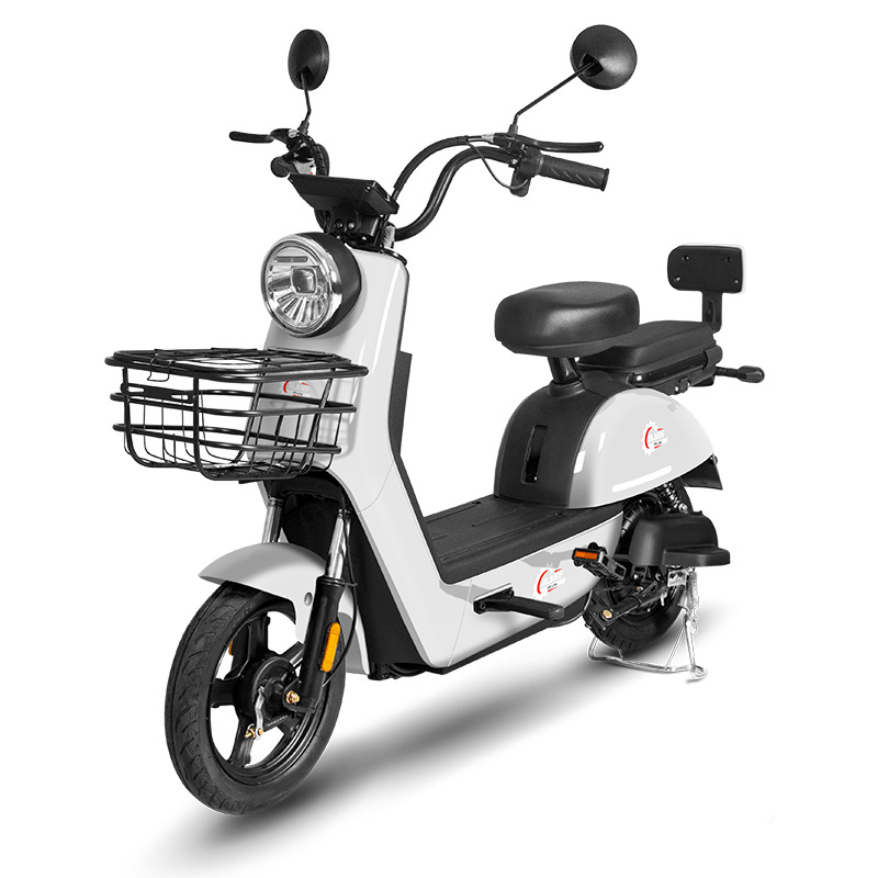 El fabricante se especializa en vehículos eléctricos Beetle de dos ruedas, vehículos ligeros de doble batería, nuevas bicicletas eléctricas para adultos asistidos