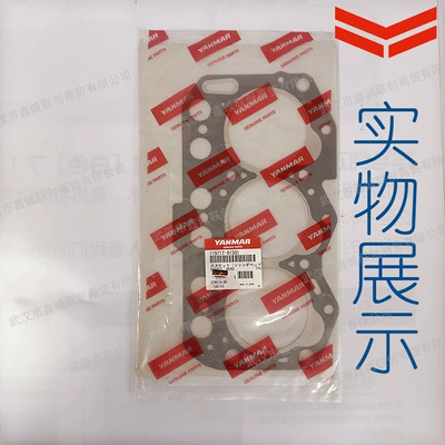 Cylinder and parts Automotive Engine Cylinder Head