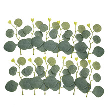 ���l����5�~�����ȼ����~���X�~�Gֲ�b��滨����~��DIY���