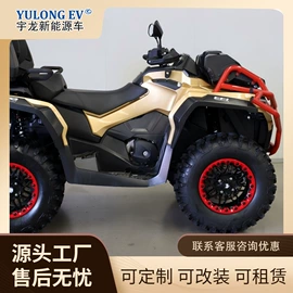 其他电动车;电动观光车;乘用车