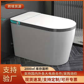 工程款 轻智能马桶电动一体式小户型带水箱泡沫盾全自动智能马桶