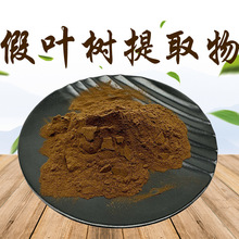假叶树提取物 假叶树萃取原料粉 假叶树粉  假树叶提取物 全水溶