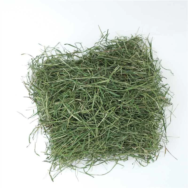 Сенаж из сегментов сухой травы тимофеевки премиум-класса, 25 лет выдержки, для кроликов, шиншилл, морских свинок, 500 г