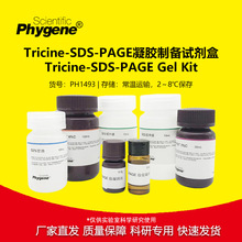 Tricine-SDS-PAGE���z�Ƃ�ԇ���� 100T [PH1493 PHYGENE]