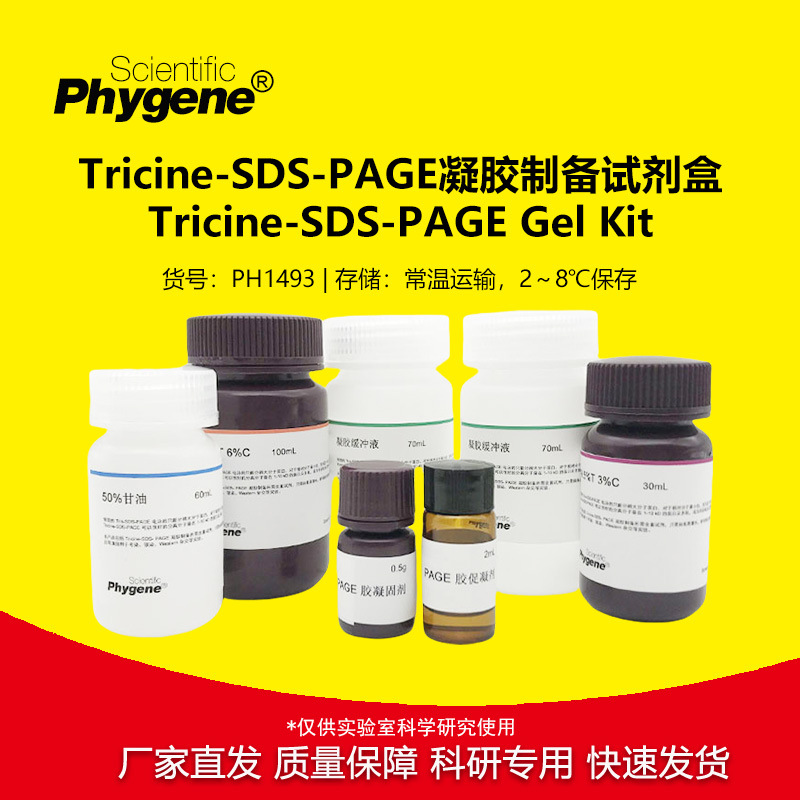 Tricine-SDS-PAGE凝胶制备试剂盒 100T [PH1493 PHYGENE]